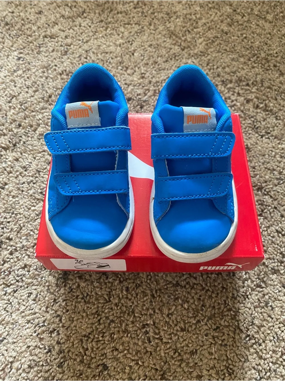 6C Shoes